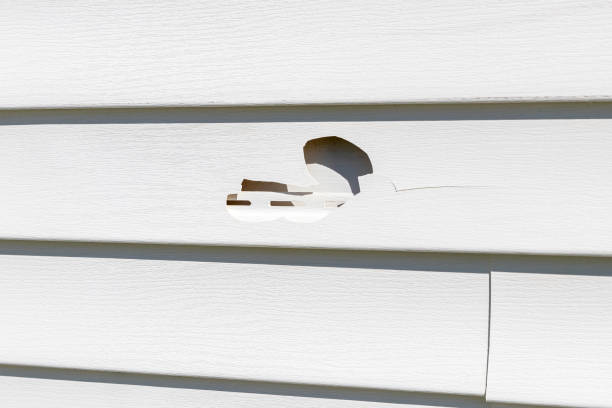 Custom Trim and Detailing for Siding in Loma Rica, CA